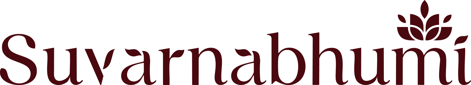 sa logo big